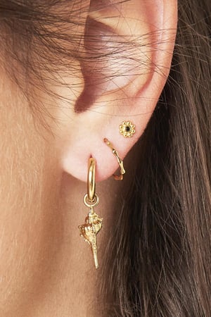 Ohrringe Ocean Shell Silber Edelstahl h5 Bild2